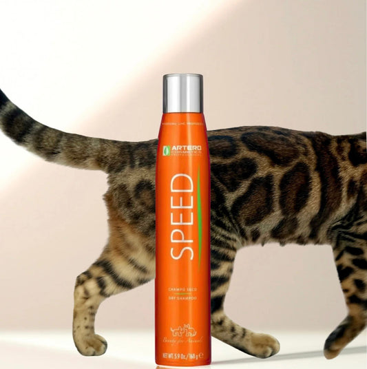 Shampoing sec chiens & chats Artero 300ml