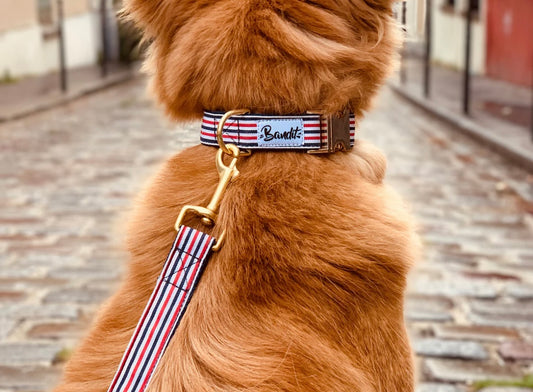Collier FRENCH BANBAN - BANDIT